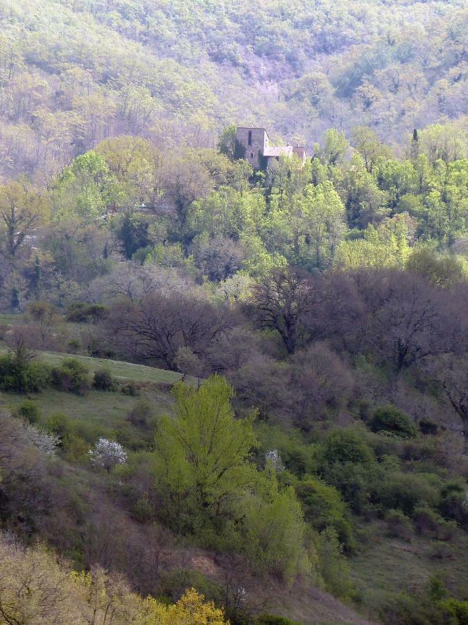 Torre Di Pornello Lägenhet Exteriör bild