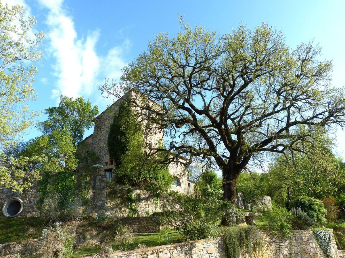 Torre Di Pornello Lägenhet Exteriör bild